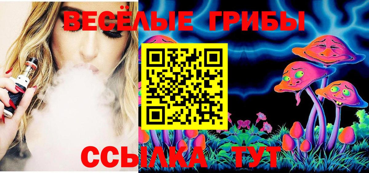 Ишимбай  Псилоцибиновые грибы MAGIC MUSHROOMS  Галлюциногенные грибы прущие грибы  Вход с VPN 