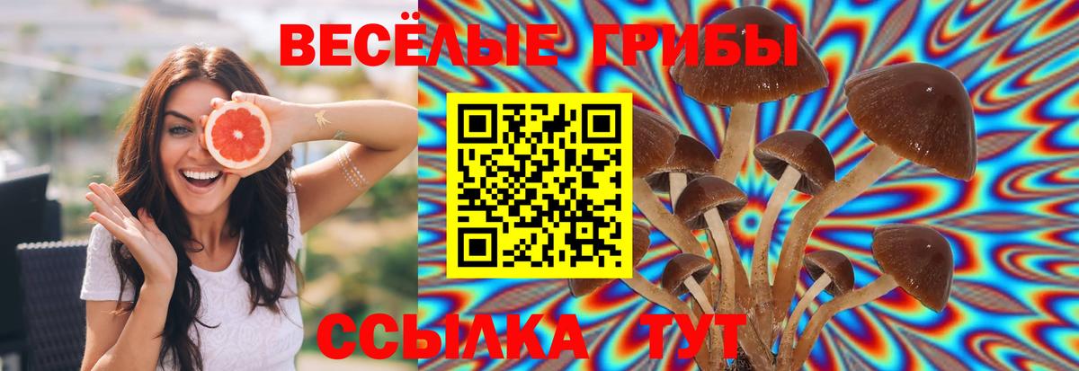 Псилоцибиновые грибы мухоморы Ишимбай